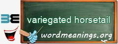 WordMeaning blackboard for variegated horsetail